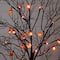 4ft. Pre-Lit Artificial Halloween Black Twig Tree with 24 Orange LED Pumpkin Shaped Lights